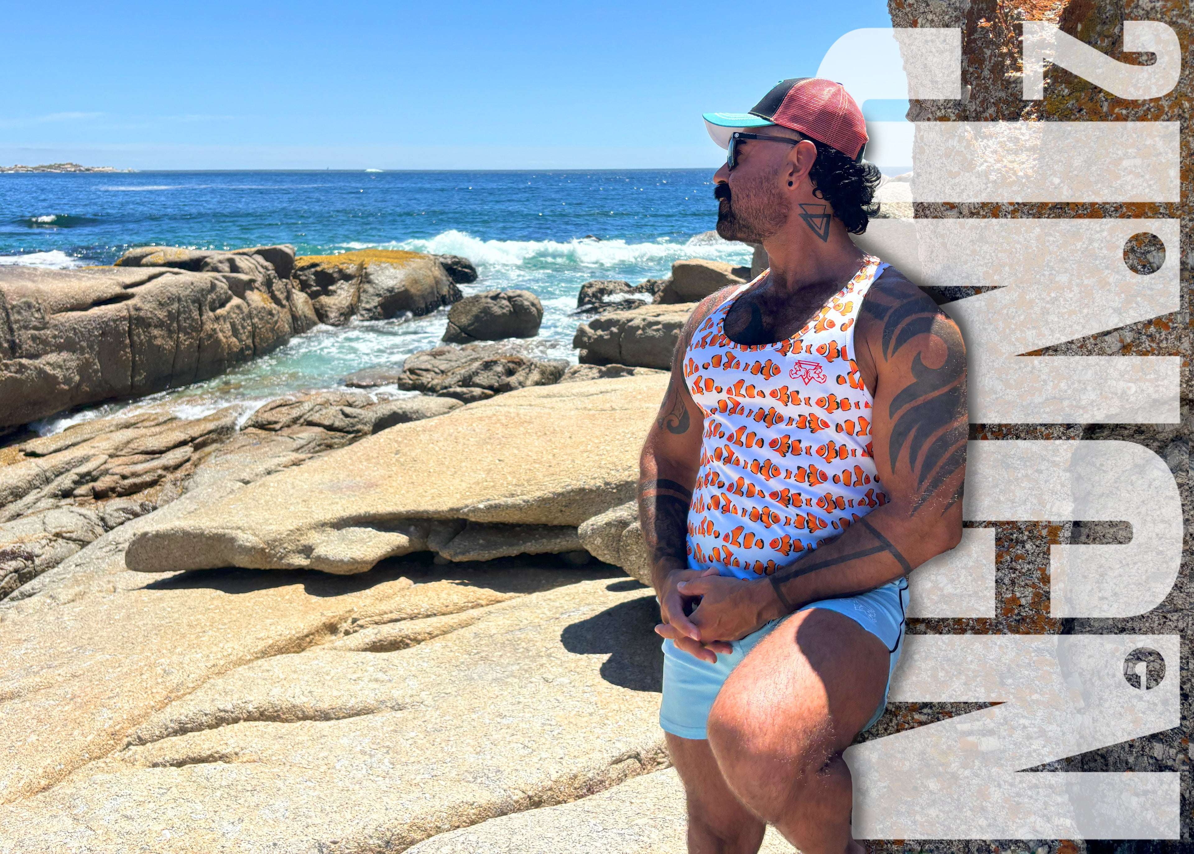 Clownfish Craze